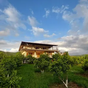Xhaferaj Apartamento